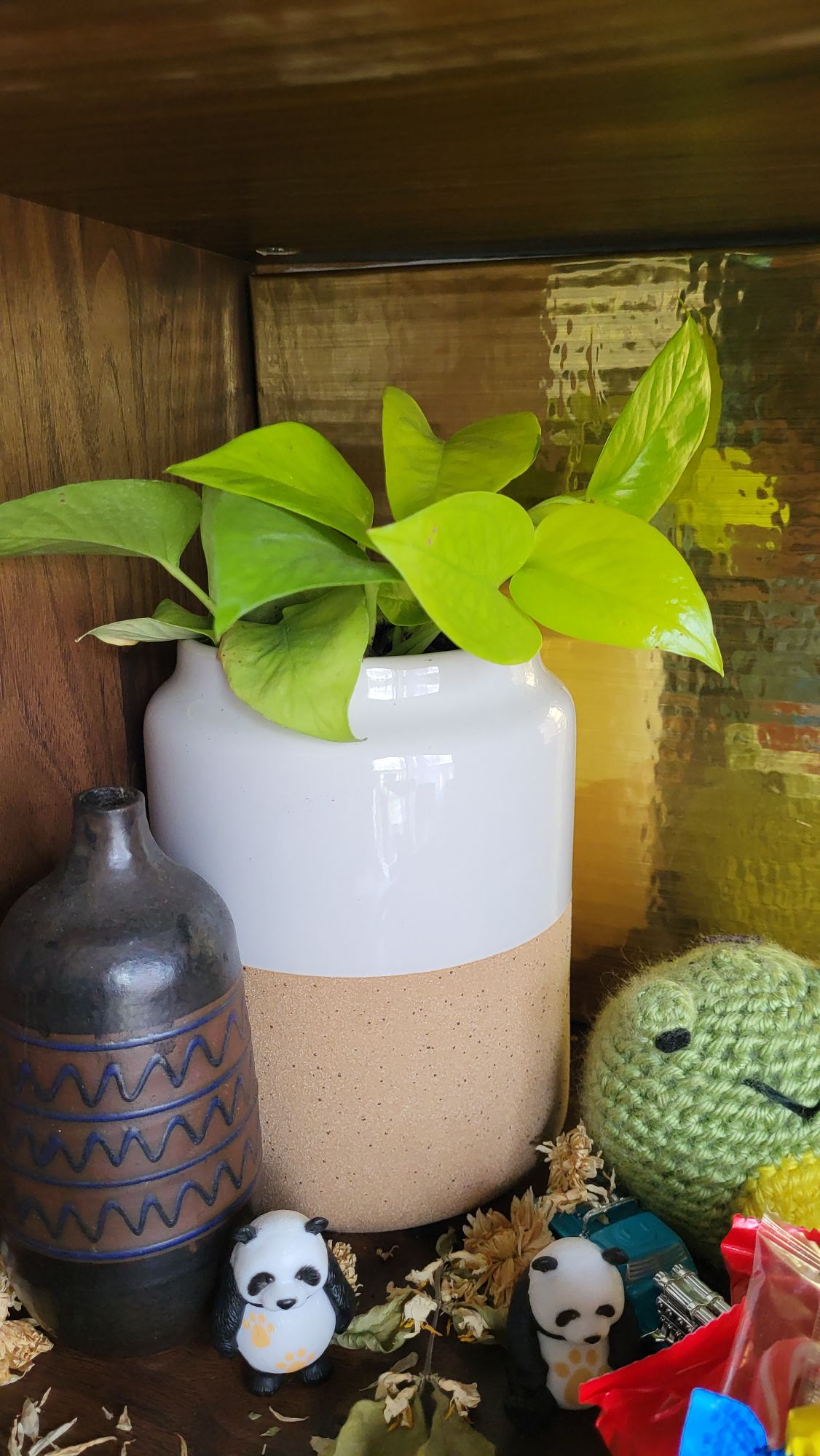 Neon Pothos in a Gray and Beige pot