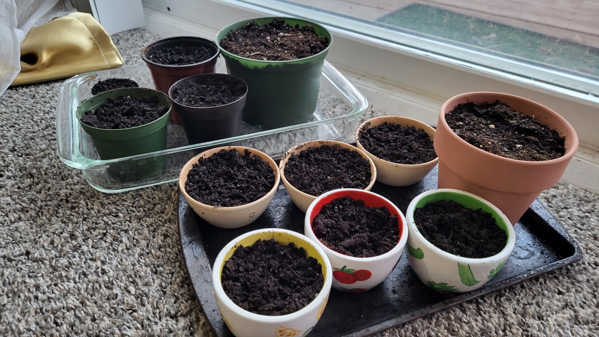 Assortment of ramekins full of dirt